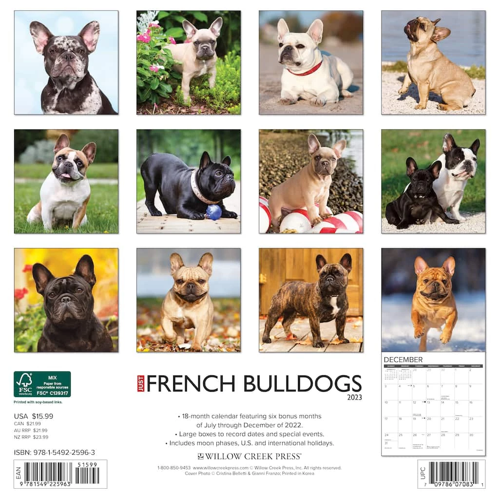 Best reviews of โ๏ธ 2023 Just French Bulldogs Wall Calendar by Willow Creek Press ๐ฅ 2 Best reviews of โ๏ธ 2023 Just French Bulldogs Wall Calendar by Willow Creek Press ๐ฅ - Image 2