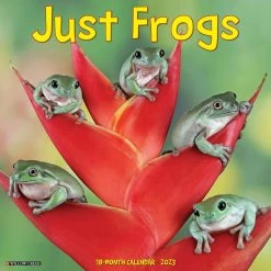 Cheapest ✔️ 2023 Just Frogs Wall Calendar by Willow Creek Press 😉