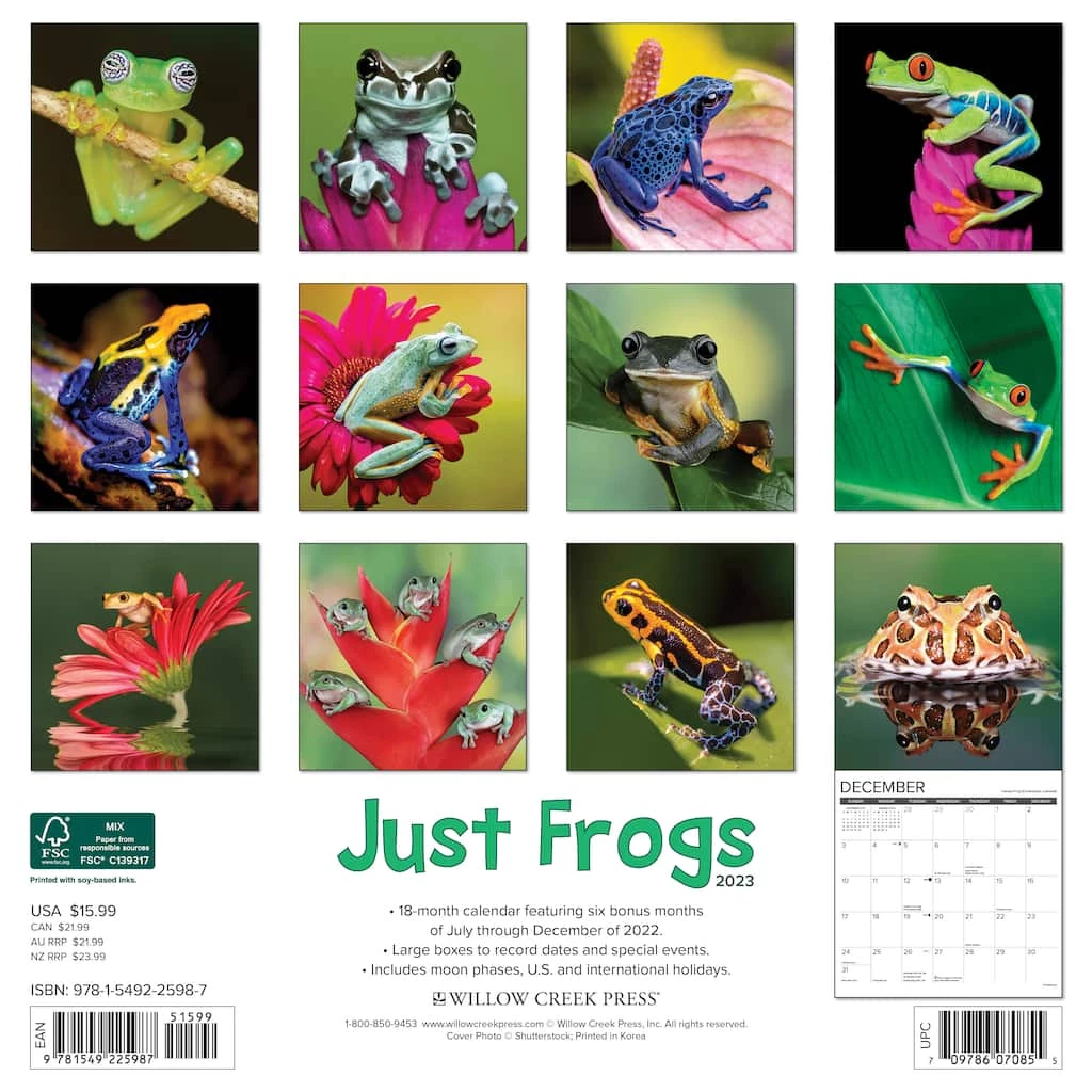 Cheapest ✔️ 2023 Just Frogs Wall Calendar by Willow Creek Press 😉 2 Cheapest ✔️ 2023 Just Frogs Wall Calendar by Willow Creek Press 😉 - Image 2