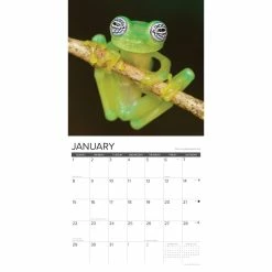 Cheapest ✔️ 2023 Just Frogs Wall Calendar by Willow Creek Press 😉 6 Cheapest ✔️ 2023 Just Frogs Wall Calendar by Willow Creek Press 😉 -Cheap Willow Creek Press Store D670071S 3