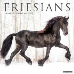 Coupon ⌛ 2023 Friesians Wall Calendar by Willow Creek Press 💯