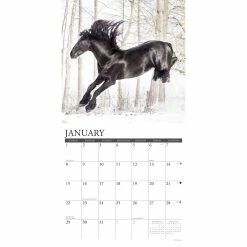 Coupon ⌛ 2023 Friesians Wall Calendar by Willow Creek Press 💯 -Cheap Willow Creek Press Store D670072S 3