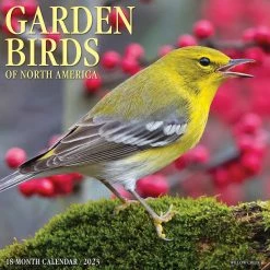 Brand new 💯 2023 Garden Birds of North America Wall Calendar by Willow Creek Press 👏