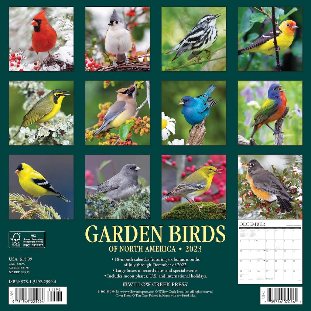 Brand new 💯 2023 Garden Birds of North America Wall Calendar by Willow Creek Press 👏 2 Brand new 💯 2023 Garden Birds of North America Wall Calendar by Willow Creek Press 👏 - Image 2
