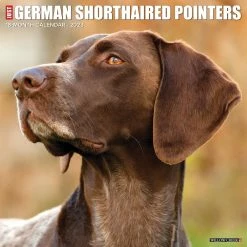 Best Sale 👏 2023 German Shorthaired Pointers Wall Calendar by Willow Creek Press 🥰