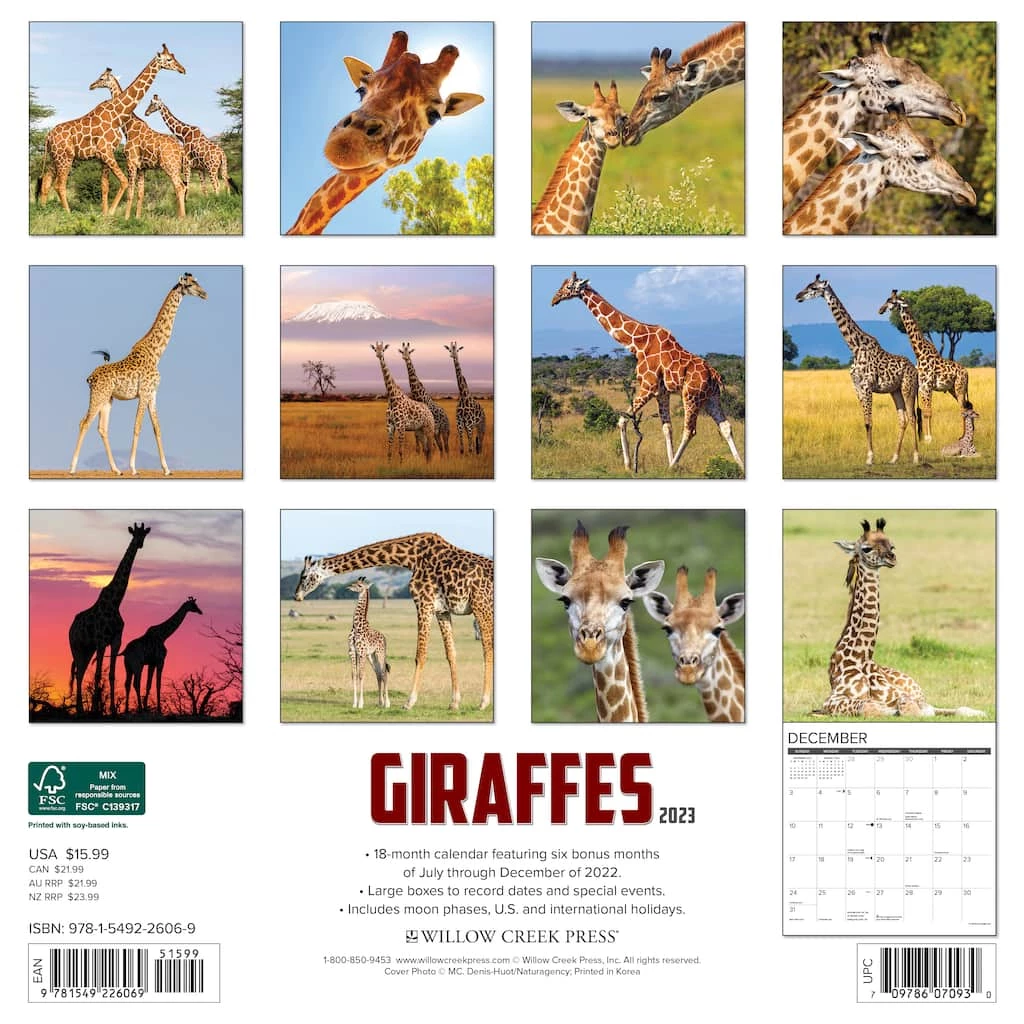 Top 10 🎉 2023 Giraffes Wall Calendar by Willow Creek Press 😀 2 Top 10 🎉 2023 Giraffes Wall Calendar by Willow Creek Press 😀 - Image 2