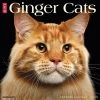 Coupon 🛒 2023 Just Ginger Cats Wall Calendar by Willow Creek Press 😀