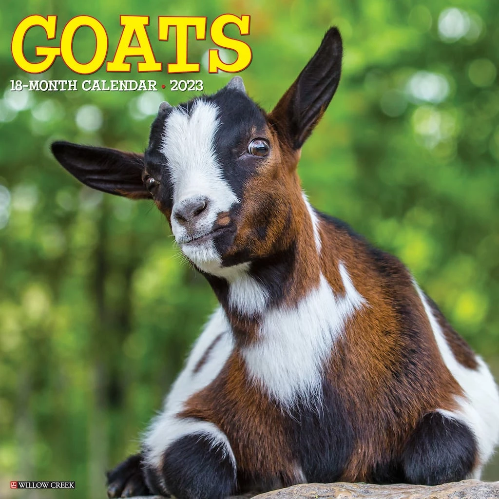 Top 10 🌟 2023 Goats Wall Calendar by Willow Creek Press 🔔 1 Top 10 🌟 2023 Goats Wall Calendar by Willow Creek Press 🔔
