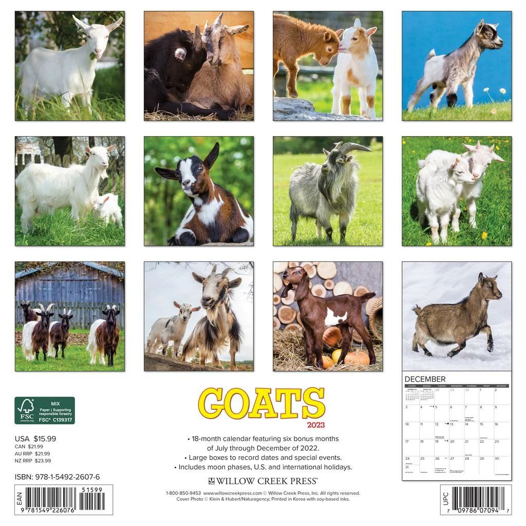 Top 10 🌟 2023 Goats Wall Calendar by Willow Creek Press 🔔 2 Top 10 🌟 2023 Goats Wall Calendar by Willow Creek Press 🔔 - Image 2