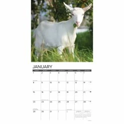 Top 10 🌟 2023 Goats Wall Calendar by Willow Creek Press 🔔 6 Top 10 🌟 2023 Goats Wall Calendar by Willow Creek Press 🔔 -Cheap Willow Creek Press Store D670082S 3