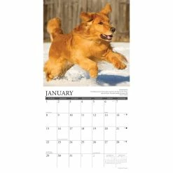 Buy 👍 2023 Golden Rules Wall Calendar by Willow Creek Press ✔️ -Cheap Willow Creek Press Store D670087S 3