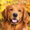 Deals 🥰 2023 Just Goldens Wall Calendar by Willow Creek Press 👍