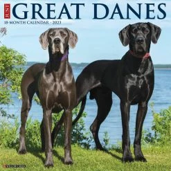 Top 10 🛒 2023 Just Great Danes Wall Calendar by Willow Creek Press 🥰