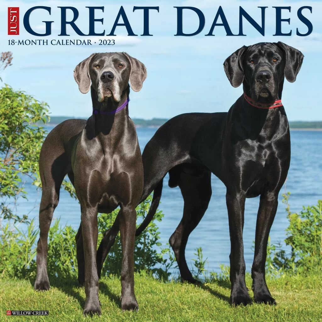 Top 10 🛒 2023 Just Great Danes Wall Calendar by Willow Creek Press 🥰 1 Top 10 🛒 2023 Just Great Danes Wall Calendar by Willow Creek Press 🥰