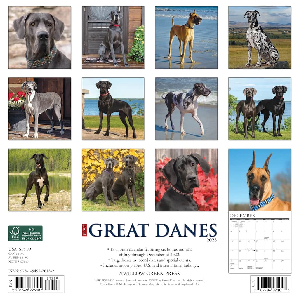 Top 10 🛒 2023 Just Great Danes Wall Calendar by Willow Creek Press 🥰 2 Top 10 🛒 2023 Just Great Danes Wall Calendar by Willow Creek Press 🥰 - Image 2