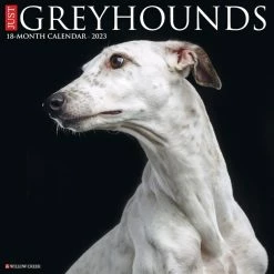 Hot Sale 🛒 2023 Just Greyhounds Wall Calendar by Willow Creek Press ✨