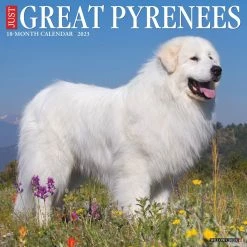 Wholesale ✨ 2023 Just Great Pyrenees Wall Calendar by Willow Creek Press 🧨