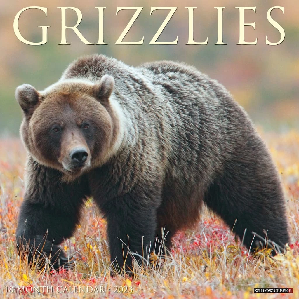 Promo ๐คฉ 2023 Grizzlies Wall Calendar by Willow Creek Press ๐งจ 1 Promo ๐คฉ 2023 Grizzlies Wall Calendar by Willow Creek Press ๐งจ