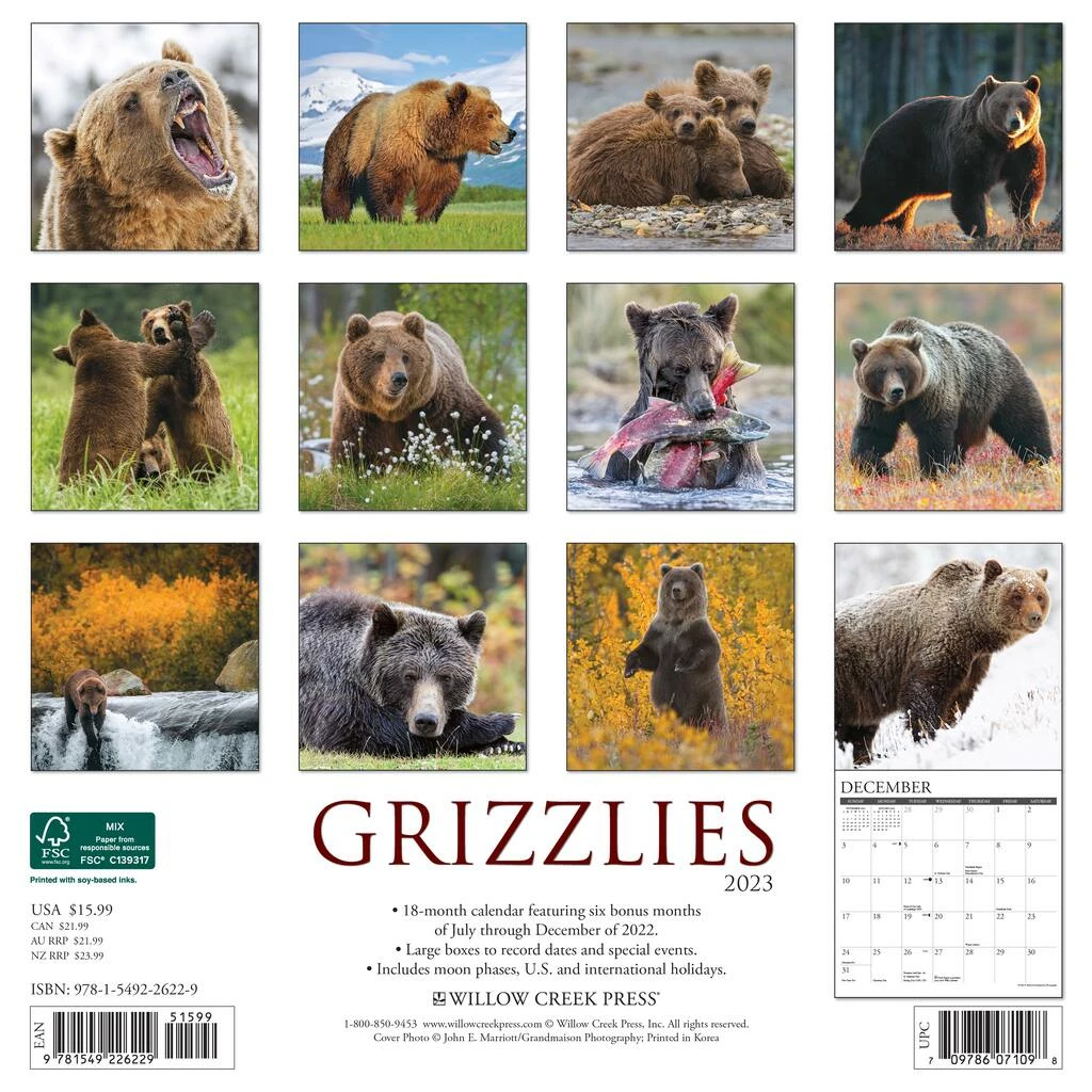 Promo ๐คฉ 2023 Grizzlies Wall Calendar by Willow Creek Press ๐งจ 2 Promo ๐คฉ 2023 Grizzlies Wall Calendar by Willow Creek Press ๐งจ - Image 2