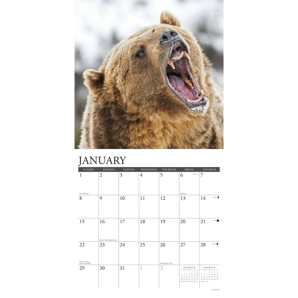 Promo ๐คฉ 2023 Grizzlies Wall Calendar by Willow Creek Press ๐งจ 3 Promo ๐คฉ 2023 Grizzlies Wall Calendar by Willow Creek Press ๐งจ - Image 3
