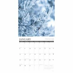 Flash Sale 🛒 2023 Heaven Has a Forest Wall Calendar by Willow Creek Press 🌟 -Cheap Willow Creek Press Store D670101S 3