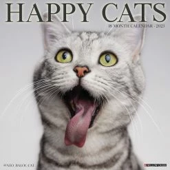 Brand new 😉 2023 Happy Cats Wall Calendar by Willow Creek Press 😀