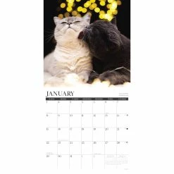 Brand new 😉 2023 Happy Cats Wall Calendar by Willow Creek Press 😀 -Cheap Willow Creek Press Store D670102S 3