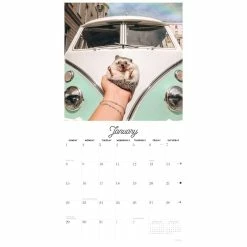 Wholesale ⌛ 2023 Herbee the Hedgehog Wall Calendar by Willow Creek Press 🛒 -Cheap Willow Creek Press Store D670104S 3