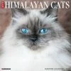 Promo 👏 2023 Just Himalayan Cats Wall Calendar by Willow Creek Press 👍