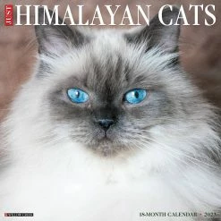 Promo ๐ 2023 Just Himalayan Cats Wall Calendar by Willow Creek Press ๐