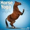 Outlet 🌟 2023 Horse Yoga Wall Calendar by Willow Creek Press 🛒