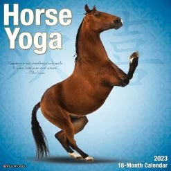 Outlet ๐ 2023 Horse Yoga Wall Calendar by Willow Creek Press ๐