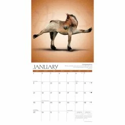 Outlet 🌟 2023 Horse Yoga Wall Calendar by Willow Creek Press 🛒 6 Outlet 🌟 2023 Horse Yoga Wall Calendar by Willow Creek Press 🛒 -Cheap Willow Creek Press Store D670106S 3