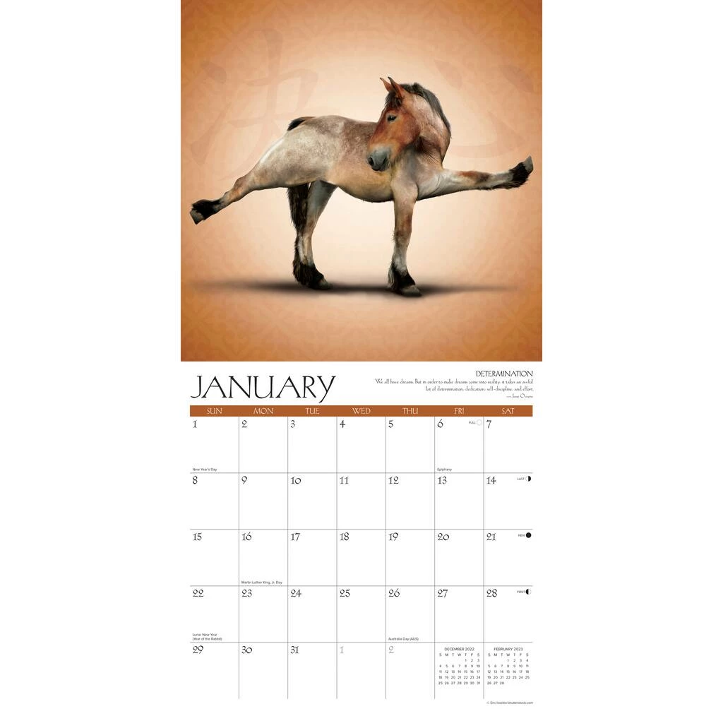 Outlet 🌟 2023 Horse Yoga Wall Calendar by Willow Creek Press 🛒 3 Outlet 🌟 2023 Horse Yoga Wall Calendar by Willow Creek Press 🛒 - Image 3