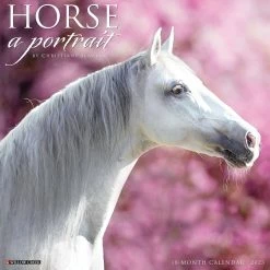 Best Sale ✨ 2023 Horse: A Portrait Wall Calendar by Willow Creek Press 🎁