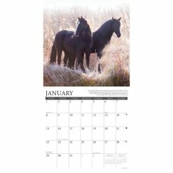 Best Sale ✨ 2023 Horse: A Portrait Wall Calendar by Willow Creek Press 🎁 6 Best Sale ✨ 2023 Horse: A Portrait Wall Calendar by Willow Creek Press 🎁 -Cheap Willow Creek Press Store D670108S 3