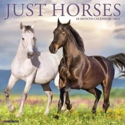 Best Pirce 😀 2023 Just Horses Wall Calendar by Willow Creek Press 😍