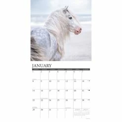 Best Pirce 😀 2023 Just Horses Wall Calendar by Willow Creek Press 😍 -Cheap Willow Creek Press Store D670109S 3