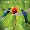 Deals ✨ 2023 Hummingbirds Wall Calendar by Willow Creek Press 🎁