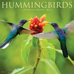 Deals ✨ 2023 Hummingbirds Wall Calendar by Willow Creek Press 🎁