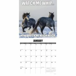 Flash Sale ๐ 2023 Horsin' Around Wall Calendar by Willow Creek Press โ 6 Flash Sale ๐ 2023 Horsin' Around Wall Calendar by Willow Creek Press โ -Cheap Willow Creek Press Store D670112S 3