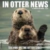 Cheap 🤩 2023 In Otter News Wall Calendar by Willow Creek Press 🔥