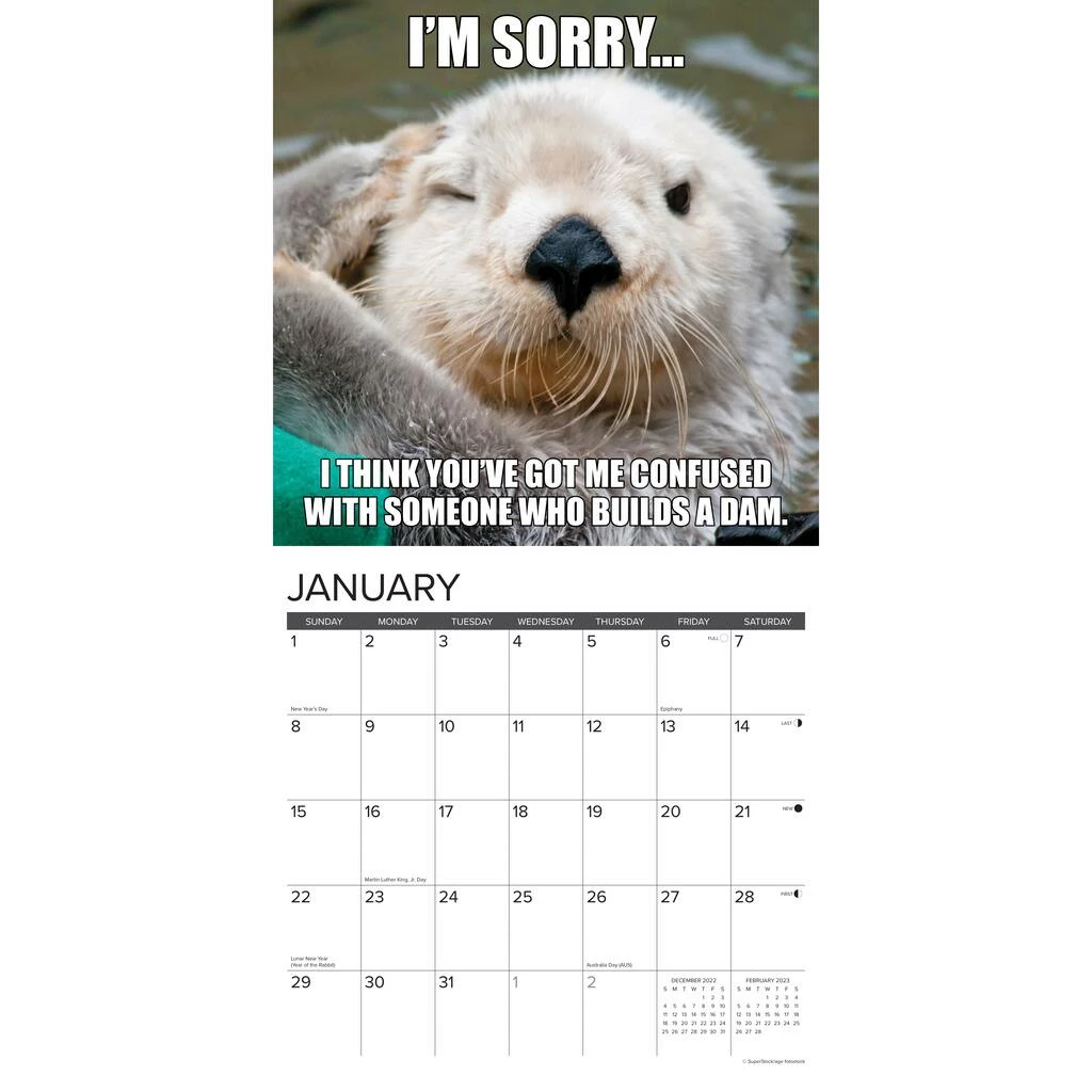 Cheap 🤩 2023 In Otter News Wall Calendar by Willow Creek Press 🔥 3 Cheap 🤩 2023 In Otter News Wall Calendar by Willow Creek Press 🔥 - Image 3