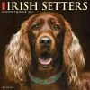 New 😀 2023 Just Irish Setters Wall Calendar by Willow Creek Press 🧨