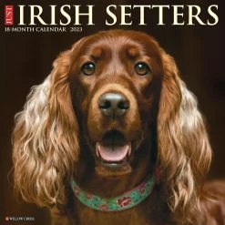 New ๐ 2023 Just Irish Setters Wall Calendar by Willow Creek Press ๐งจ
