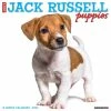 Outlet 🧨 2023 Just Jack Russell Puppies Wall Calendar by Willow Creek Press 🎁