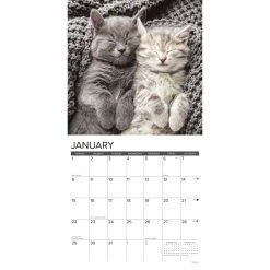 Hot Sale 🔔 2023 Just Kittens Wall Calendar by Willow Creek Press ⌛ -Cheap Willow Creek Press Store D670125S 3