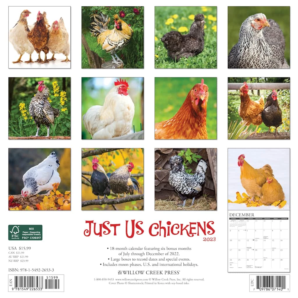 Buy 🌟 2023 Just Us Chickens Wall Calendar by Willow Creek Press 🎁 2 Buy 🌟 2023 Just Us Chickens Wall Calendar by Willow Creek Press 🎁 - Image 2