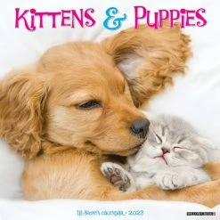 Discount 🤩 2023 Kittens & Puppies Wall Calendar by Willow Creek Press 😀