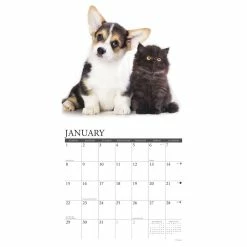 Discount 🤩 2023 Kittens & Puppies Wall Calendar by Willow Creek Press 😀 -Cheap Willow Creek Press Store D670128S 3